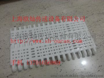 耐酸碱耐腐蚀塑料网带 节距38.1模块网带